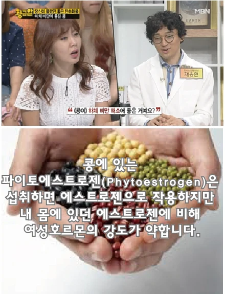 Broadcast question: “Are beans good for lower-body obesity?” The phytoestrogen in beans acts as an estrogen when consumed, but is weaker in female-hormone activity than the estrogen already in the body.