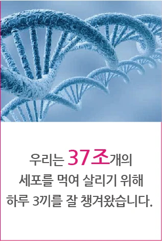 We have been eating three meals a day to feed our 37 trillion cells.