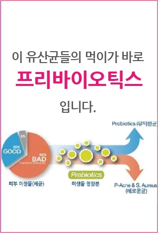 The food for these lactic acid bacteria is prebiotics