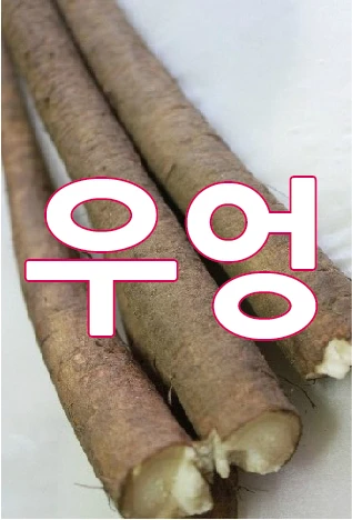 Burdock.
