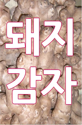 Jerusalem artichokes.