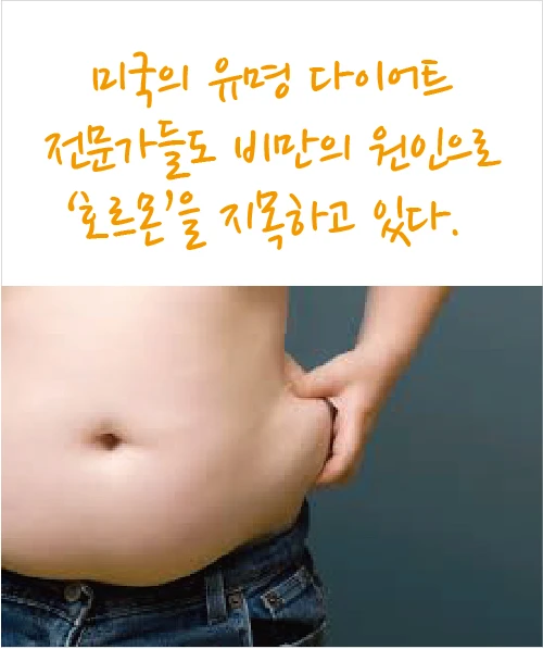 Well-known American diet experts also point to hormones as a cause of obesity.