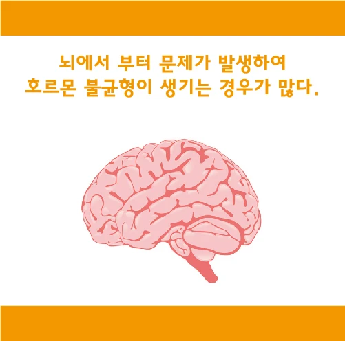 Hormonal imbalance often develops when problems originate in the brain.