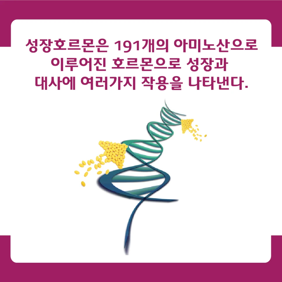 Growth hormone consists of 191 amino acids and has various effects on growth and metabolism.