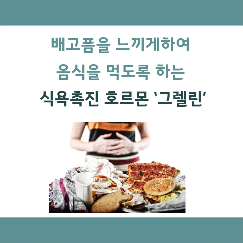 The appetite-stimulating hormone ghrelin makes us feel hungry and eat.