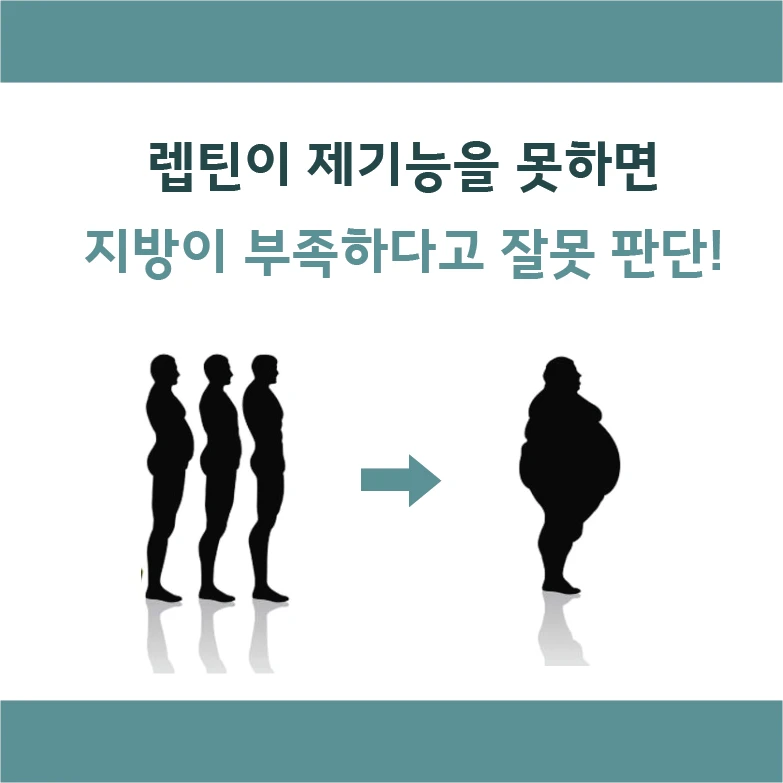 If leptin fails to function, the body incorrectly judges that it has insufficient fat.