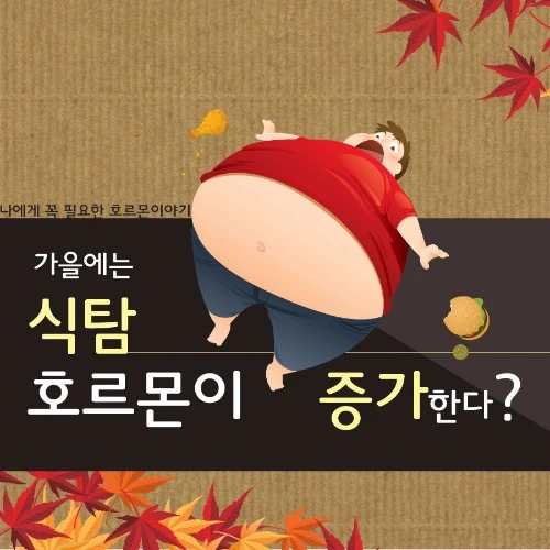 Autumn-appetite title graphic