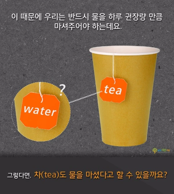 Can tea count as water graphic