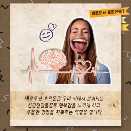 Serotonin explanation graphic