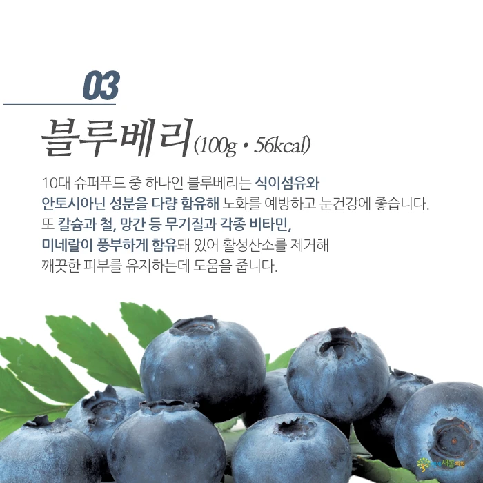 Blueberry nutrition graphic