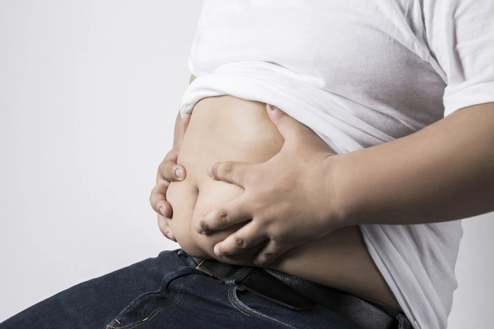 Abdominal fat illustration